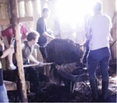 [Sheep stable] (Keevallik 2018)