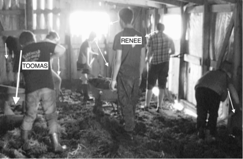 [Sheep stable] (Keevallik 2018)