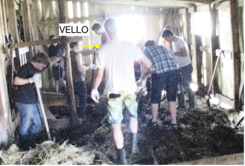 [Sheep stable] (Keevallik 2018)