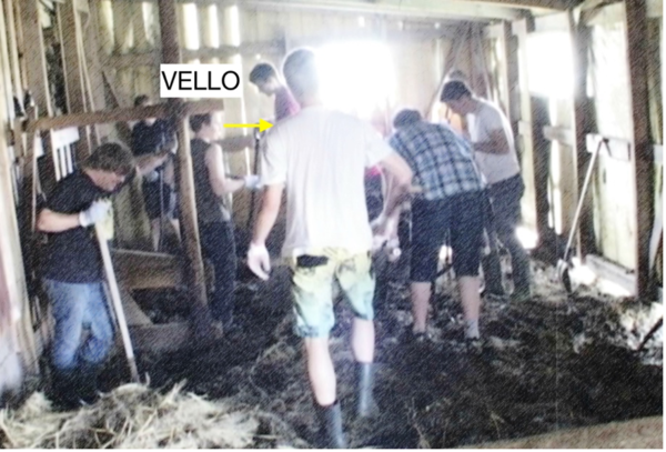 [Sheep stable] (Keevallik 2018)